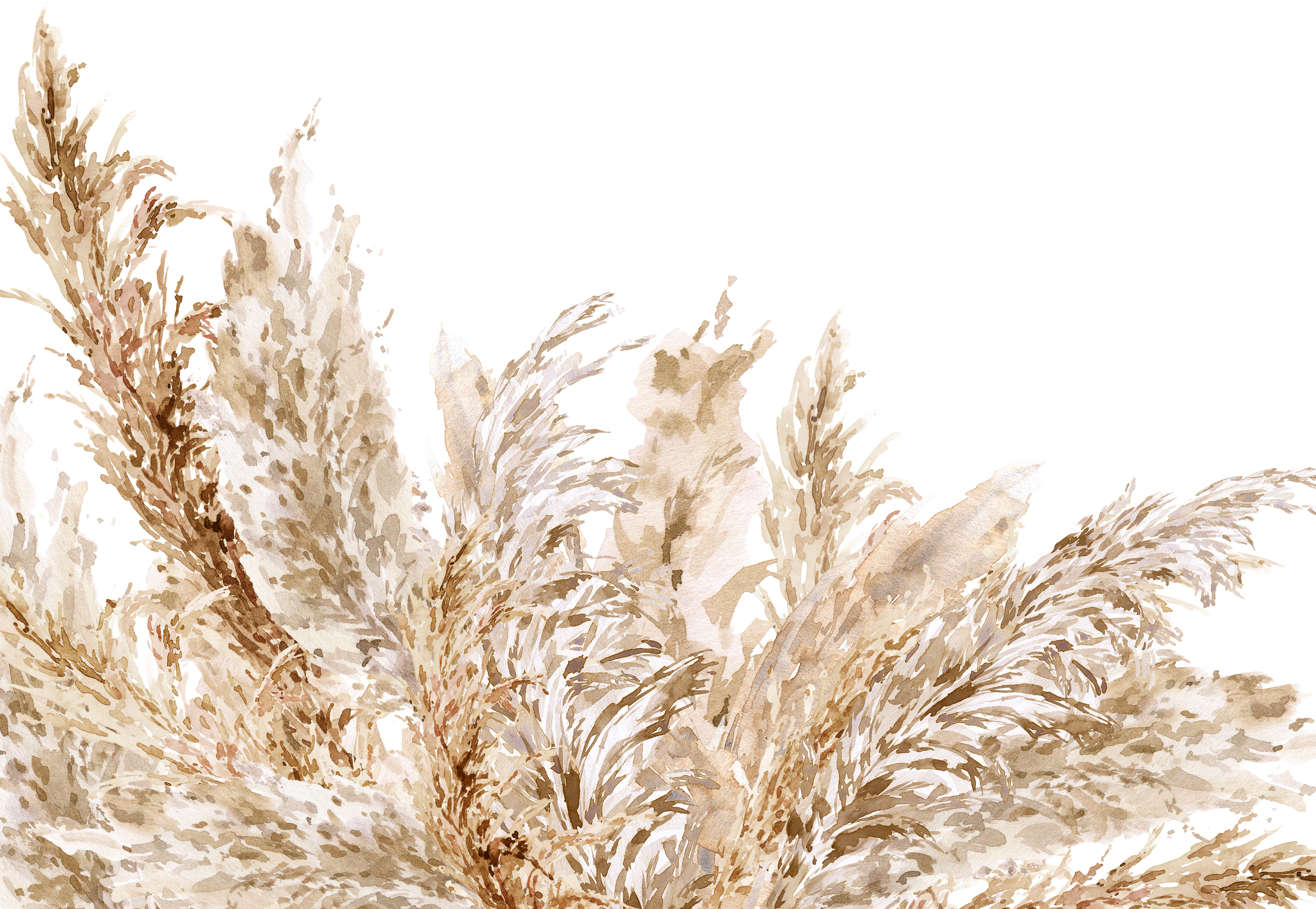 Watercolor Pampas Grass floral  neutral beige border