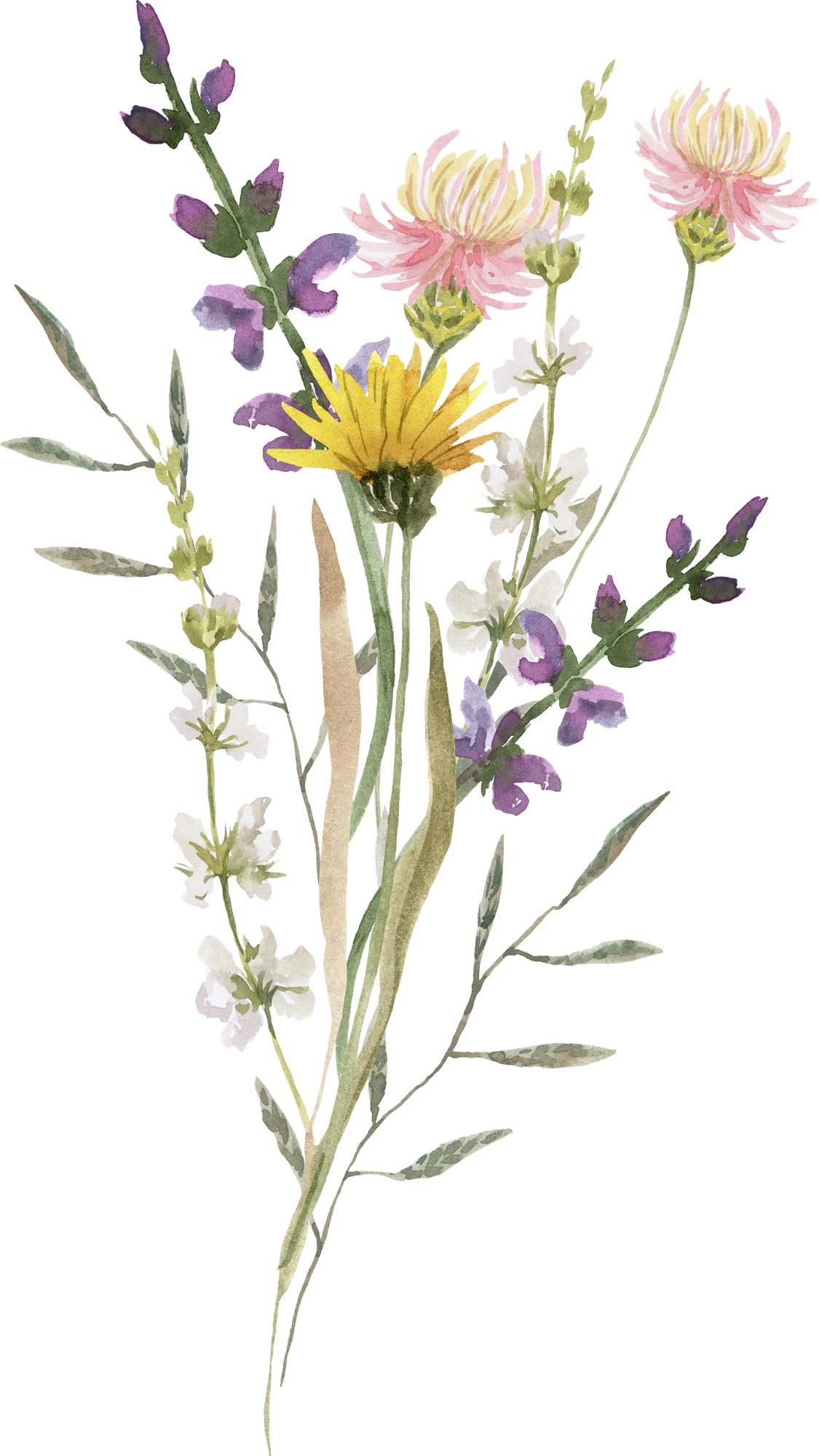 Watercolor wildflowers bouquet